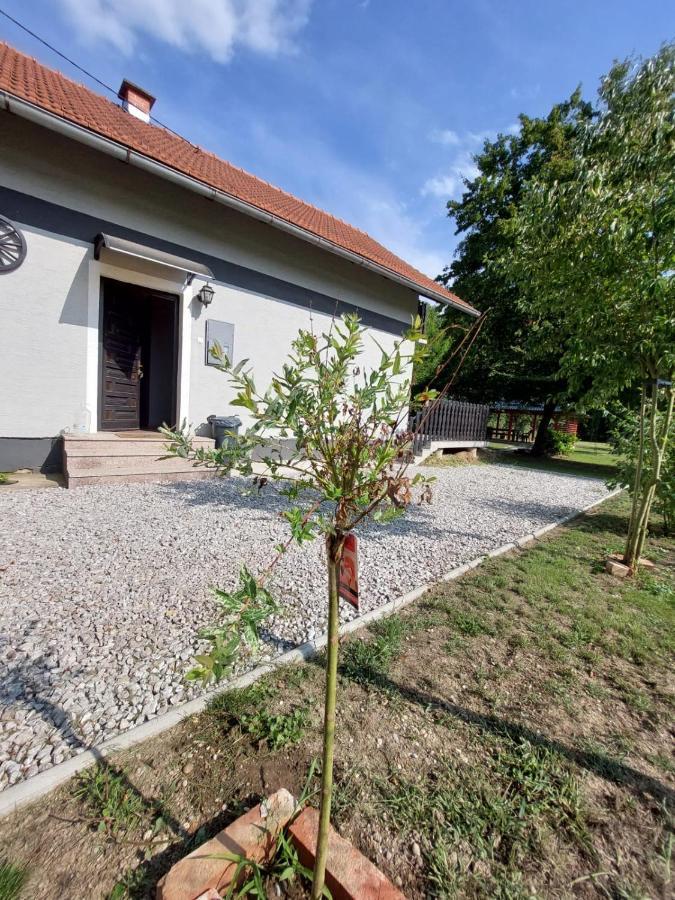 House Kupa Mb Villa Petrinja Exterior foto