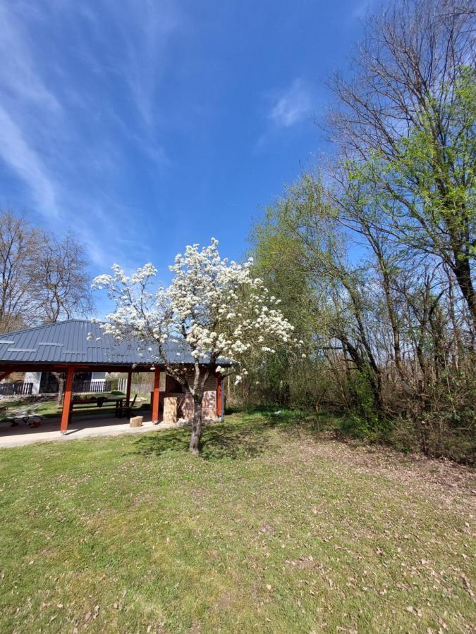 House Kupa Mb Villa Petrinja Exterior foto